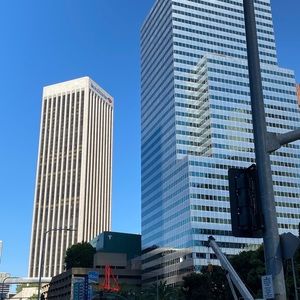 Meet your Posher, Scarlett